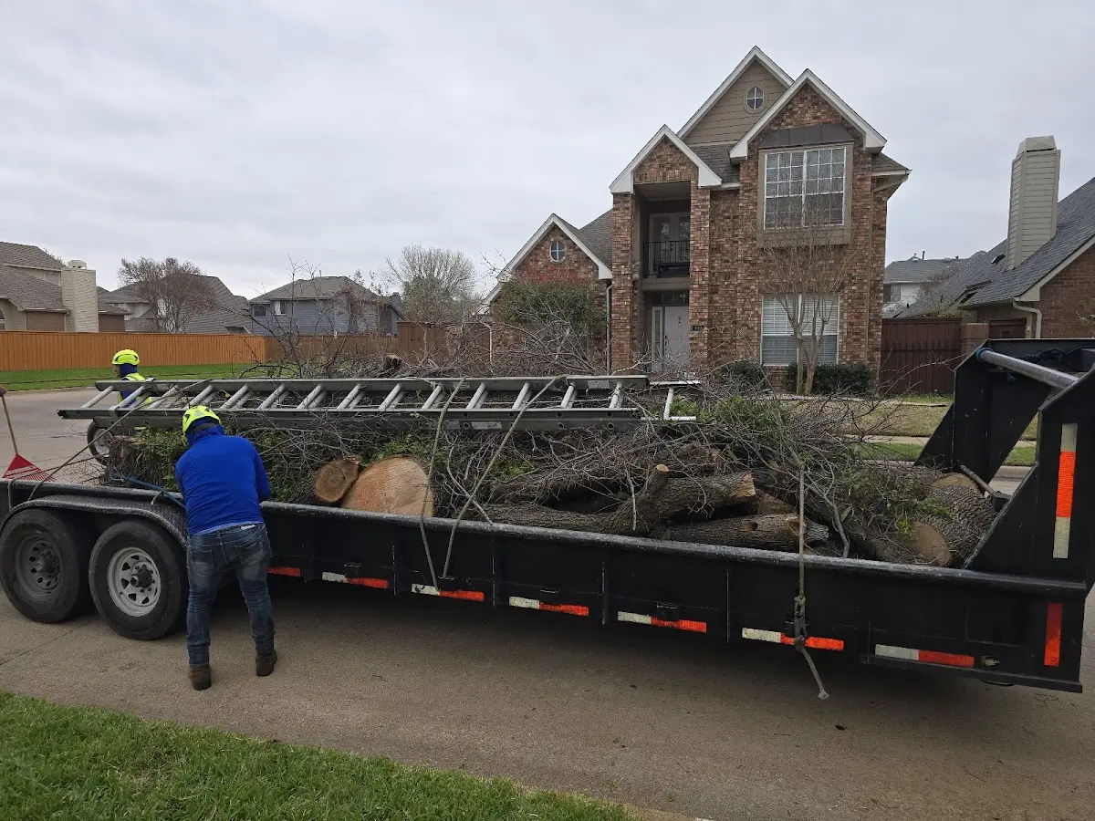 Expert Crown Reduction with proper safety equipment in Meridian